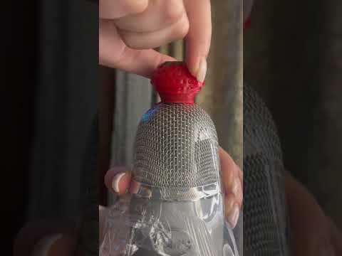 #shorts Asmr lipstick on microphone