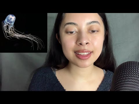 ASMR reading creepy facts (part 2)