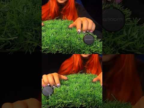 This Sound Is So Satisfying… 😍 | ASMRScratching (No Talking) #tingles #shorts #asmr