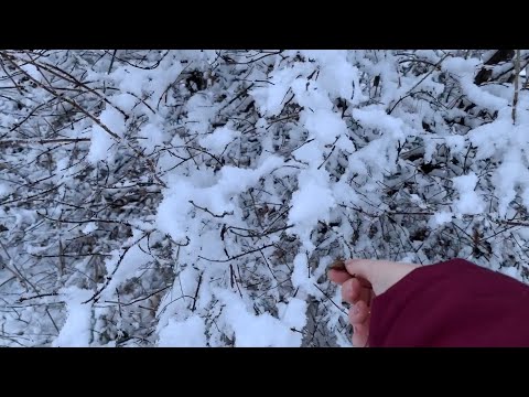 ASMR// SNOW!!// (no explanation needed)