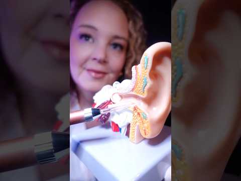 ASMR Medical Ear Exam 👂Sounds for Sleep #shorts