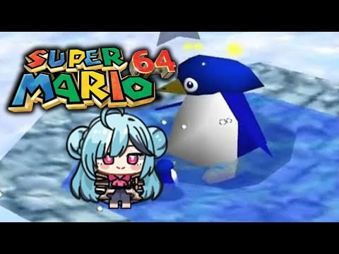 【Super Mario 64】Never Give Up! First Time With Custom Mod!