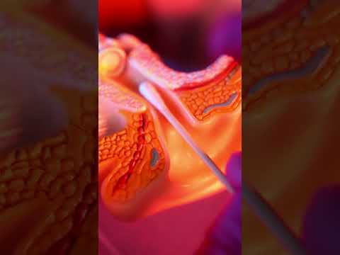 Ear exam and cleaning ASMR  #asmr #asmrvideos