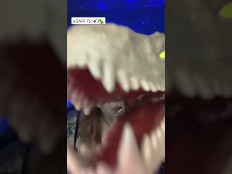 ASMR Dinossauro🦖            #asmr #asmrsounds