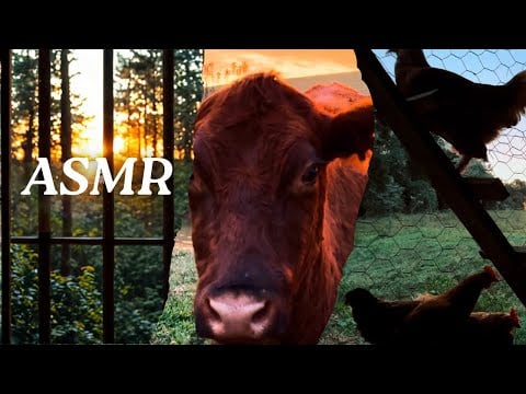 ASMR Cristão para Paz Interior com Versículos e Reflexão