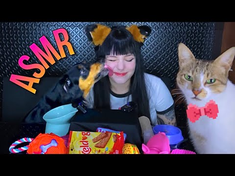 ENSINEI MEUS ANIMAIS A FAZER ASMR 🐶🐱🐾