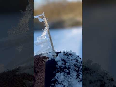 Upload my new ASMR video 🍾⛄️❤️ #asmrsounds #relax #snow #nature