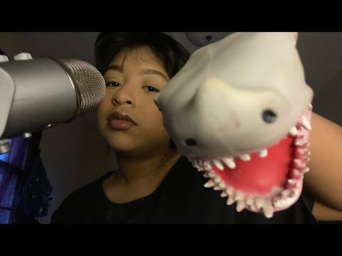 Asmr mr shark😊eats you until you fall asleep✨