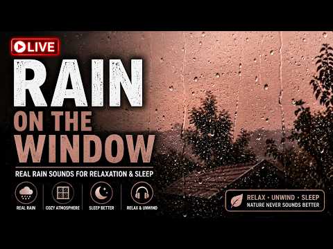 🌧️ LIVE Rain on the Window 🌧️ Real Rain Sounds for Sleep, Relaxation & Focus | ASMR