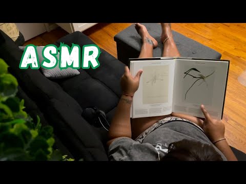 ASMR Girlfriend Reads While You Peek In on Her (mumbling)