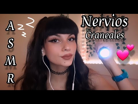 👩‍⚕️ Asmr ENFERMERA te revisa NERVIOS CRANEALES 🩺 asmr roleplay español