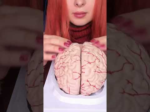 ASMR Most Tingly Brain Massage Ever (No Talking) #shorts