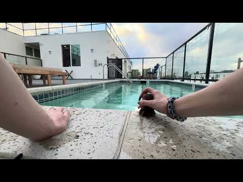 Random ASMR Pool Hangout w your bff (me)
