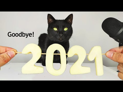 Goodbye 2021 Cat eating ASMR