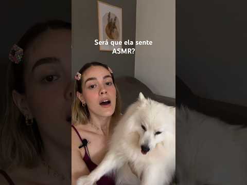 Cachorros sentem ASMR? 🫢 #asmr #asmrparadormir #asmrtriggers #asmrvideo #asmroleplay #asmrsounds