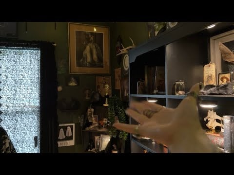 ASMR | Lofi Office & Bookshelf Tour 🕸️📚 build up camera tapping, air tracing, scratching, etc.