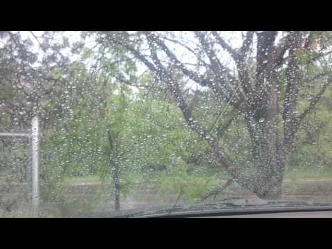 ASMR - Enjoying a brief rainstorm