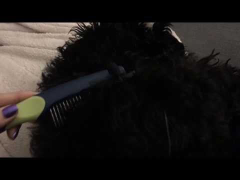 ASMR Puppy Brushing and Whispering