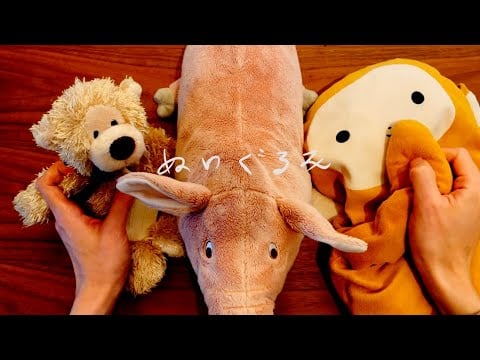 [asmr 日本語 台湾人] 私の大好きなぬいぐるみをご紹介🧸 雑談