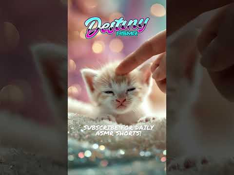 Baby Kitten ASMR Purring 🐈 #kitten #babykitty #aiasmr #shorts