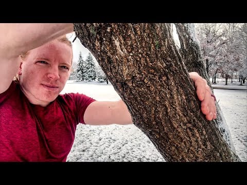 ASMR Giving the Trees a Massage