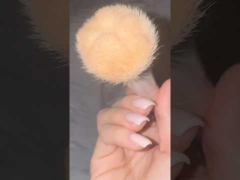 Face Brushing ASMR 💄#asmr #brush #asmrbrushing #asmrsounds