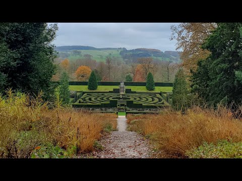 ASMR tour of garden & Christmas market 🎄 soft spoken + nature sounds