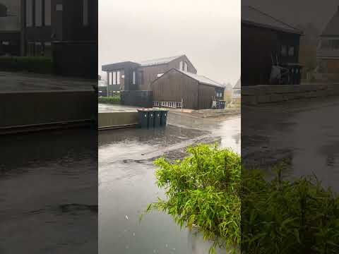 The Most Relaxing Rain You'll Ever Hear ⛈  #rain #nature#asmr #relaxationsounds #tingles #relax