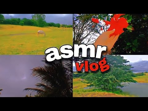 ASMR VLOG ao ar livre Tour pelo campo