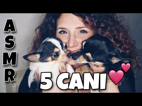 ASMR ita • Vi presento I MIEI 5 CANI! ❤️🐶🐶🐶🐶🐶❤️