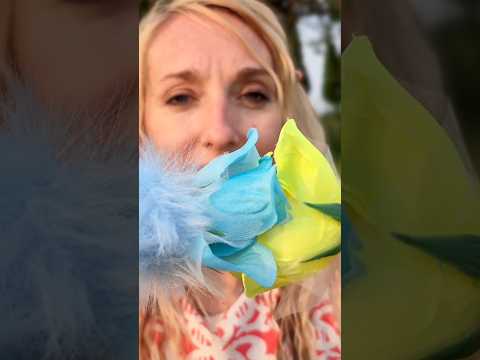 #asmr #nature Take a moment and #breathe
