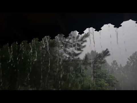 ASMR na Chuva 🌧️ Sons Hipnóticos + Palavras Calmas para Desligar a Mente e Relaxar