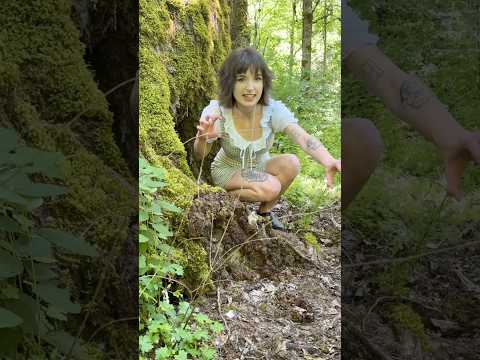 Scaring the hikers
