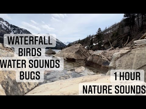 1 HOUR OF NATURE w/ mountain view, waterfall, birds, bugs & relaxing water noises 🏔💦 🐝 ☀️