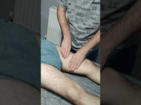 MASSAGE TO RELIEVE TENSION FROM THE FORE LEGS AFTER SPORTS #satisfying #relaxing #asmr #shorts