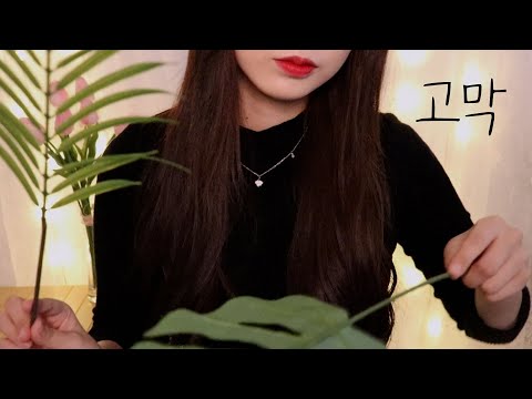 썩은물👄 ASMR.. 야금야금 양쪽 고막을 씹어먹어 뇌까지 소름 돋게 만드는 강렬한 레이어드 👄소리 파티 / 👄소리에 둘러싸여 잠들어라! ( 고막 & 뇌 먹기 )