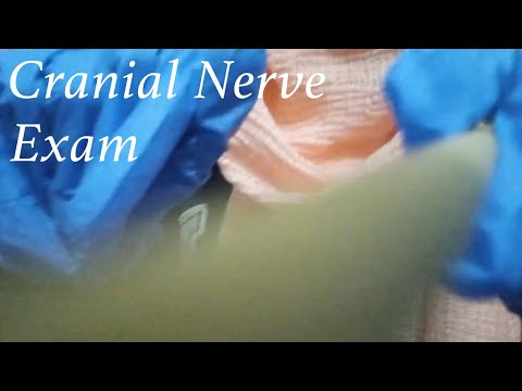 ASMR | Fast Cranial Nerve Exam (Aggressive, camera tapping & Follow Instructions)