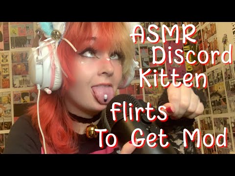 Discord Kitten Wants Mod ASMR