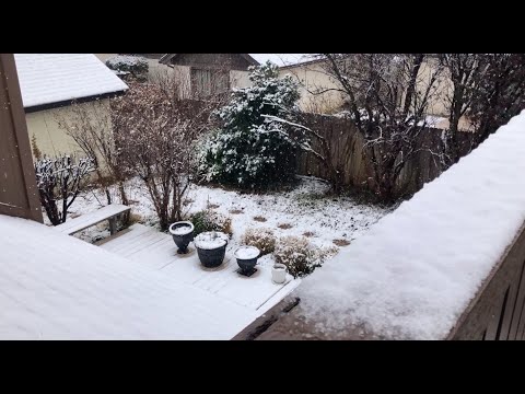 ASMR New Year's Cooking + Holiday Tree Tour/Takedown + 2023 Intentions in DESCR | Ft. SNOW (at end!)