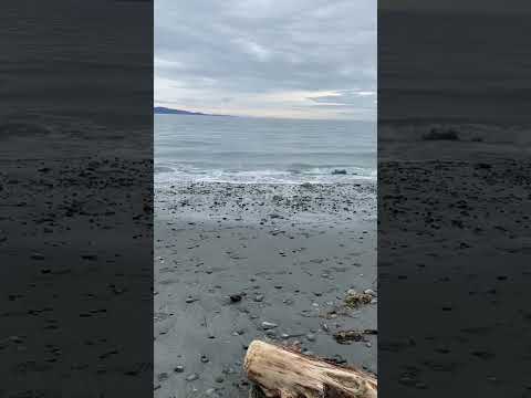 It’s time to rest your mind 🕰🕊 #ocean #waves #asmrtriggers #hypnotic #asmrshorts #relaxing