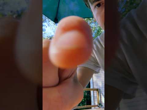 Up close hand movements #asmr #raeasmr #visualasmr #upclose #handmovements