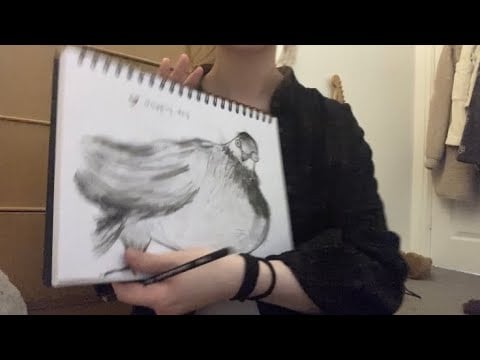 ASMR drawing fat pigeon