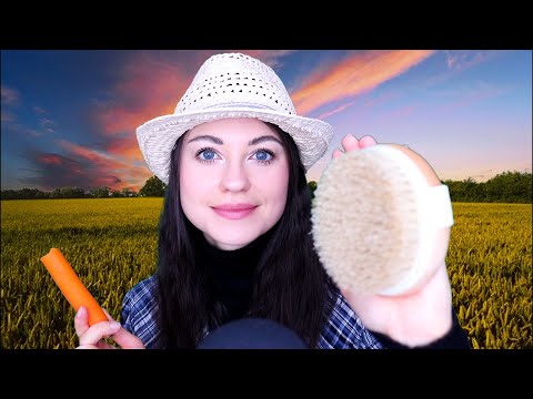 [ASMR] Ich Kümmere Mich Um Dich (Du Bist Ein Pferd) 🐴 Roleplay (Deutsch/German)