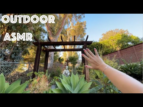 Outdoor ASMR: Scratching, Tapping, etc.🌴🌲