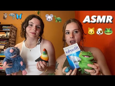 ASMR but it’s just ANIMALS… 🐶🦈🐸🐭🦉🐱