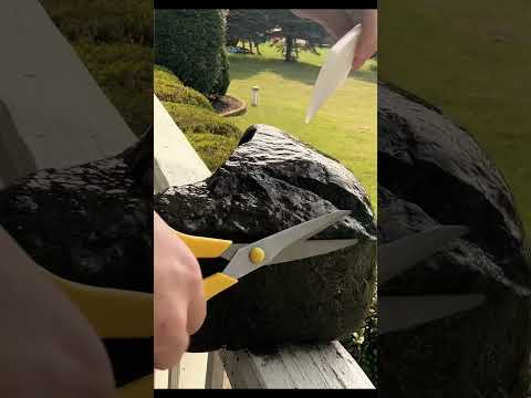 ASMR Giving A Rock A Haircut #asmr