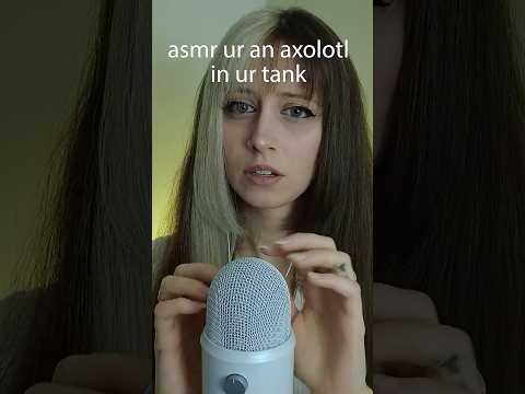 ASMR 💗 r u a fish yes or no #asmr #relaxationsounds #asmrsounds #rawmicasmr