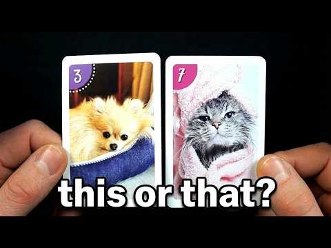 Cats vs Dogs ASMR (no talking)