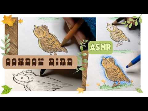 ASMR Cowboy Bird Coloring No Talking