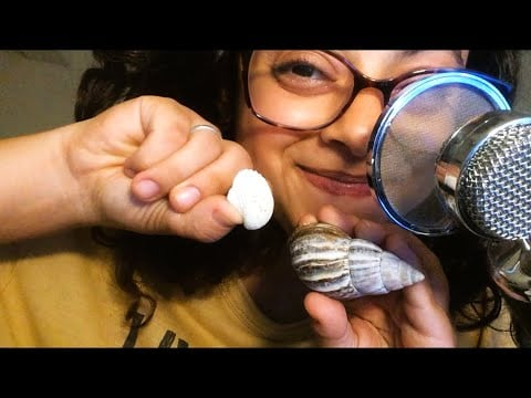 ASMR - Barulhinhos de conchinhas